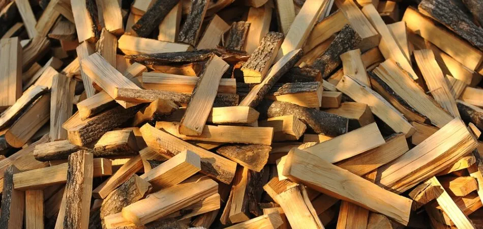 Seasoned vs Kiln-Dried Firewood
